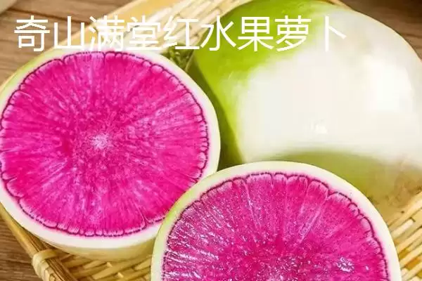 图片[2]-水果萝卜品种？认识水果萝卜品种要了解哪些关键的品种特性和分类？-会东网