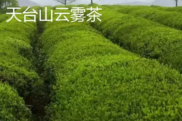 图片[2]-认识浙江台州特产的方法和重点？认识浙江台州特产要做好哪些细节？-会东网
