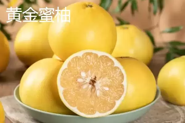 图片[4]-蜜柚有哪几种不同的颜色呢 ,蜜柚分为白色、粉红、黄、鲜红色几种-会东网