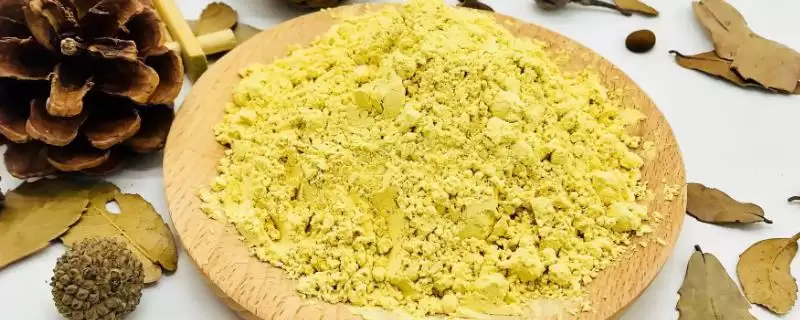 松花粉的来源？了解松花粉来源要知晓哪些关键的植物生长和采集要点？-会东网