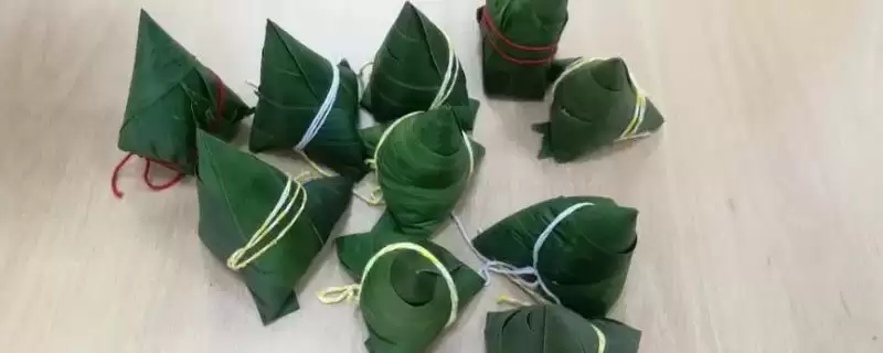 箬叶和粽叶的区别？区分箬叶和粽叶要关注哪些重要的差异点？-会东网