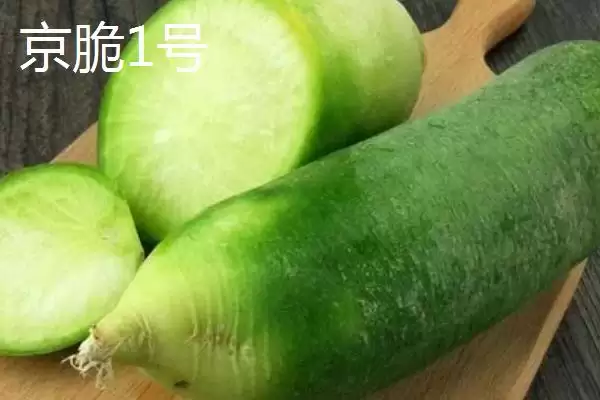 图片[3]-水果萝卜品种？认识水果萝卜品种要了解哪些关键的品种特性和分类？-会东网