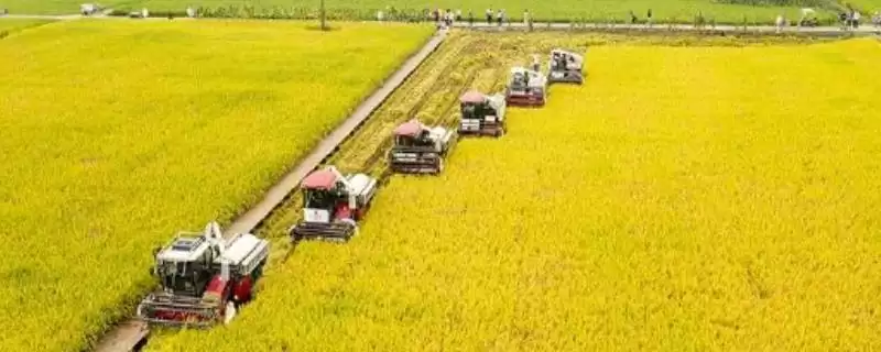 农机补贴办理全流程：向县级农机主管部门申请的要点-会东网