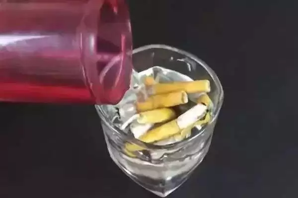 图片[5]-判断烟头水浇花能否杀虫的方法和重点？判断烟头水浇花能否杀虫要做好哪些细节？-会东网