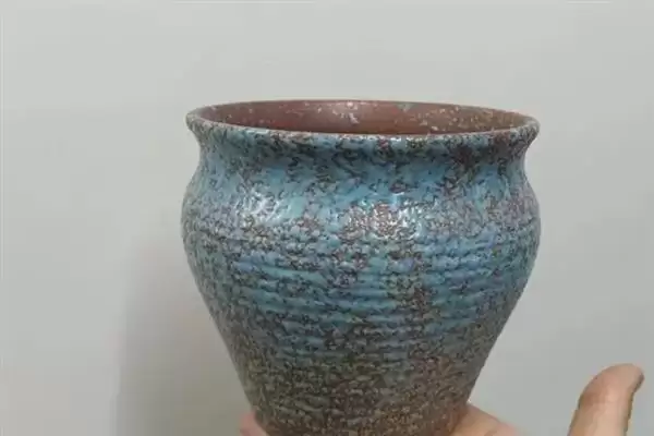 图片[5]-叶插朱紫玉的方法和重点？叶插朱紫玉要做好哪些细节？-会东网