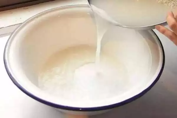 图片[3]-昙花能不能浇淘米水？判断昙花能否浇淘米水要考虑哪些土壤和植物营养因素？-会东网