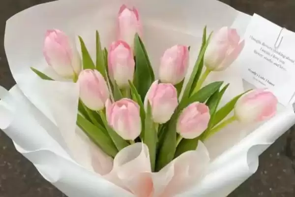 图片[2]-了解郁金香花语的方法和重点？了解郁金香花语要做好哪些细节？-会东网