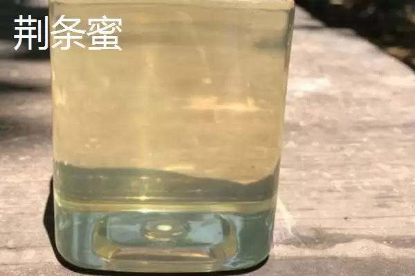 图片[4]-荆条蜜的鉴别方法 ,如何鉴别真的荆条蜜呢-会东网