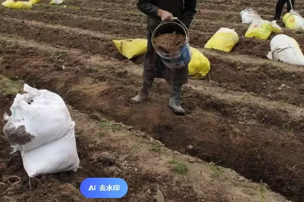 图片[3]-施肥的注意事项？施肥过程中要遵循哪些重要的注意要点和原则？-会东网