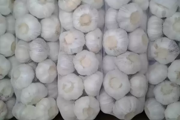 图片[4]-利用大蒜自制农药的方法 ,用大蒜自制农药有哪 4 种方法？-会东网