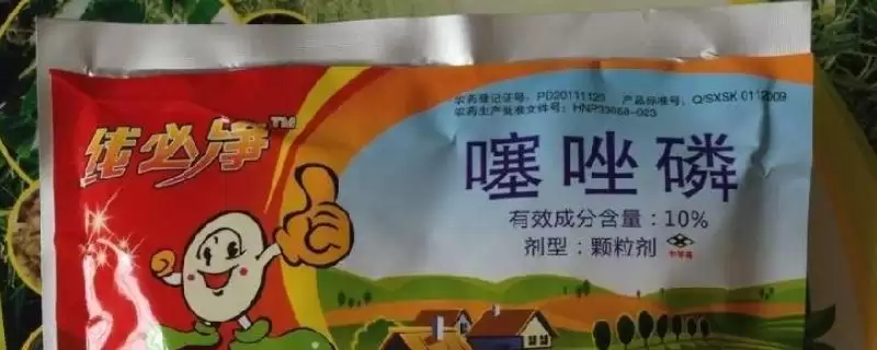 噻唑磷可以杀什么虫？了解噻唑磷杀虫范围要知晓哪些害虫种类？-会东网