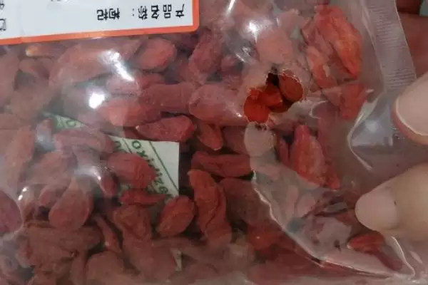 图片[4]-新鲜枸杞能否食用的要点和判断？判断新鲜枸杞食用性需注意什么？-会东网