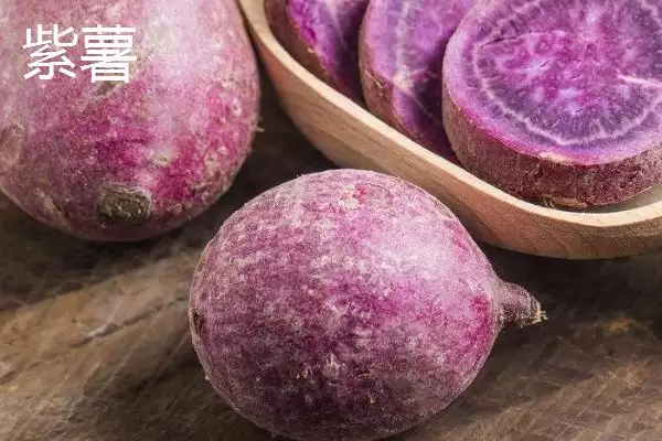 图片[2]-紫薯和红薯区别的要点和对比？分辨紫薯和红薯需注意什么？-会东网