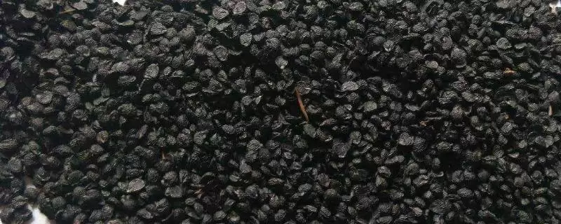 种韭菜种子的方法和重点?种韭菜种子要做好哪些细节?-会东网