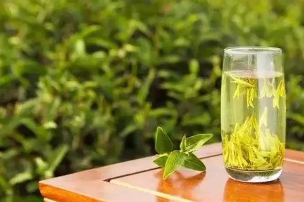 图片[7]-哪个地方产的碧螺春茶叶比较好呢,江苏省洞庭所产的碧螺春茶叶是最好的-会东网