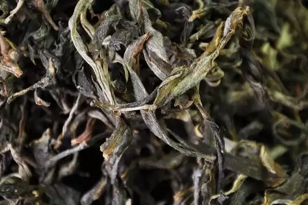 图片[4]-普洱茶产地揭秘：主产于云南省的独特韵味-会东网