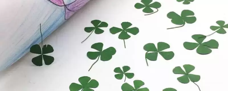 四叶草标本制作方法？制作四叶草标本要掌握哪些正确的操作步骤和技巧？-会东网