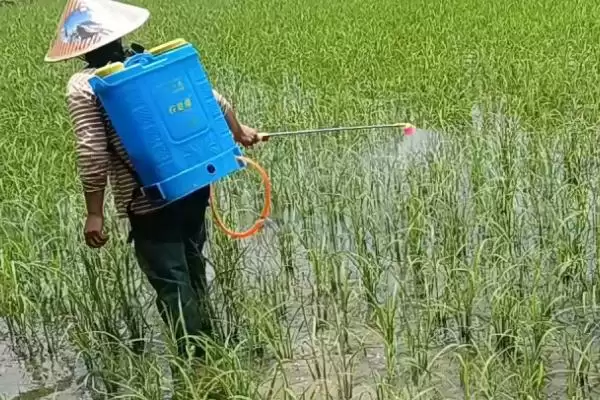 图片[2]-杀菌剂特效复配配方？了解杀菌剂特效复配要知晓哪些配方组合？-会东网