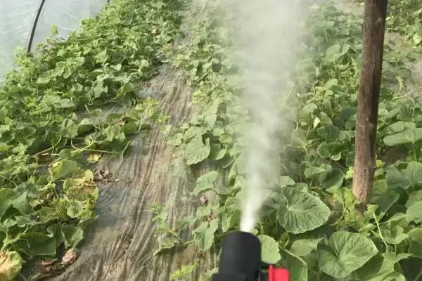 图片[4]-杀虫剂如何使用效果佳？使用杀虫剂达到最佳效果要注意什么？-会东网
