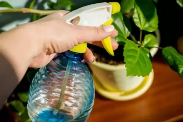 图片[3]-了解植物表面保护防冻专用剂特点的方法和重点？了解植物表面保护防冻专用剂特点要做好哪些细节？-会东网