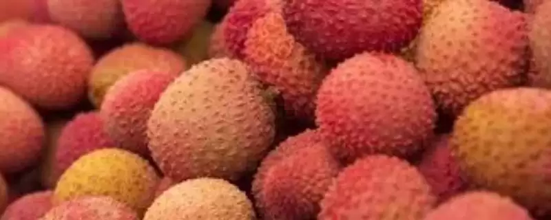 如何提高荔枝的产量？种植荔枝提高产量要做好哪些关键管理工作？-会东网