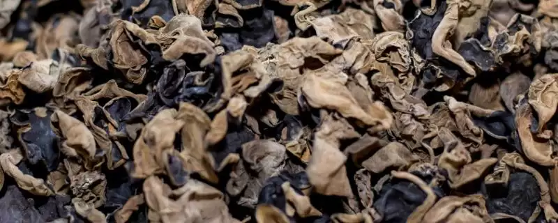 认识扎兰屯市特产的方法和重点？认识扎兰屯市特产要做好哪些细节？-会东网