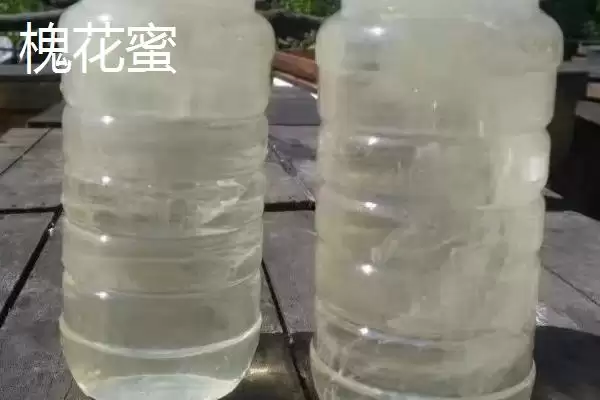 图片[5]-荆条蜜的鉴别方法 ,如何鉴别真的荆条蜜呢-会东网