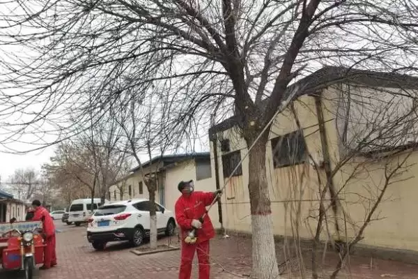 图片[3]-树干被虫蛀了如何处理？处理树干被虫蛀问题要采取哪些有效的防治措施？-会东网