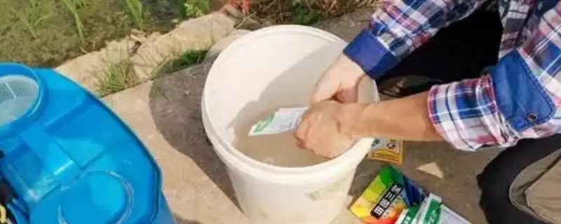 如何稀释液体农药？稀释液体农药要遵循哪些正确的稀释步骤？-会东网