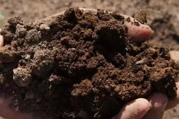 图片[2]-土壤活化剂有没有毒？判断土壤活化剂是否有毒要了解哪些化学特性和安全要点？-会东网