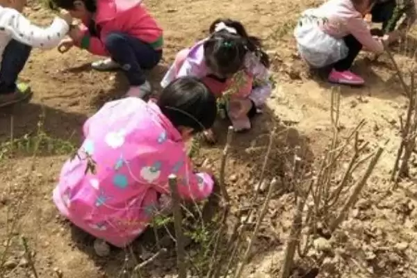 图片[5]-清明节风俗大观：各地不同风俗的文化内涵-会东网