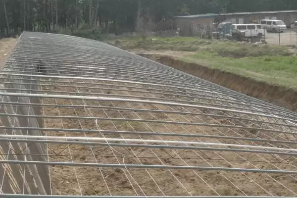 种植大棚蔬菜的成本和利润?种植大棚蔬菜需关注哪些经济要素?插图4 种植大棚蔬菜的成本和利润?种植大棚蔬菜需关注哪些经济要素?插图4