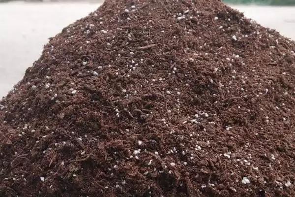 图片[3]-威百亩的使用方法？使用威百亩要遵循哪些正确的操作步骤和安全要点？-会东网