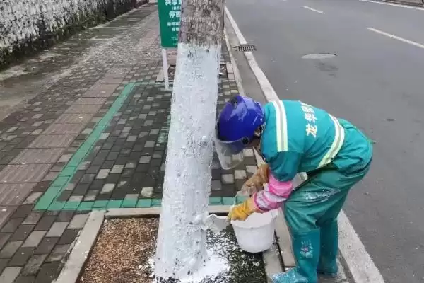图片[4]-树干被虫蛀了如何处理？处理树干被虫蛀问题要采取哪些有效的防治措施？-会东网
