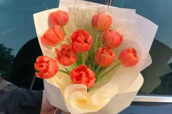 图片[4]-了解郁金香花语的方法和重点？了解郁金香花语要做好哪些细节？-会东网