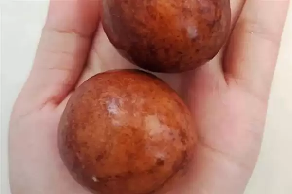 图片[3]-牛油果泡水发芽的时间密码：大约15天的等待与惊喜-会东网