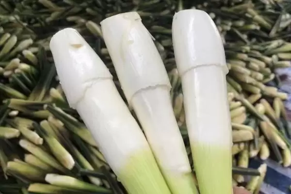图片[8]-种植前景广阔的作物：蓝宝石葡萄、白草莓、秋葵的市场潜力-会东网