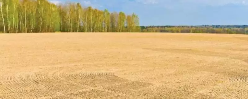 了解一亩地计算方法的方法和重点？了解一亩地计算方法要做好哪些细节？-会东网