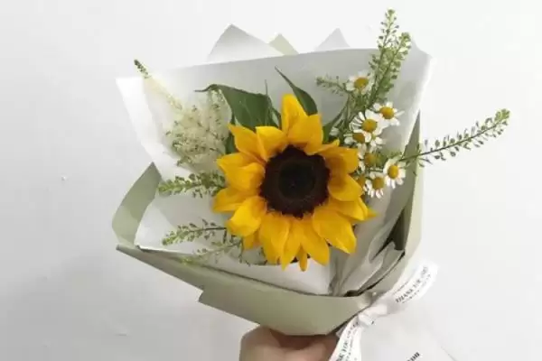 图片[3]-向日葵花寓意的内涵和要点？理解向日葵花寓意需关注哪些关键信息？-会东网
