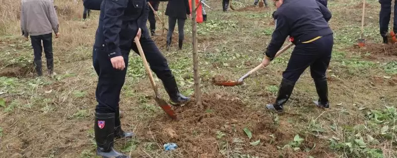 清明节风俗大观:各地不同风俗的文化内涵-会东网