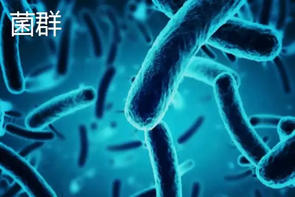 图片[5]-菌种的定义 ,菌种具体指的是什么微生物呢？-会东网