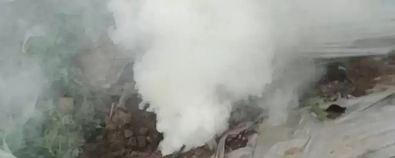 在温室中使用烟雾剂注意事项的方法和重点？在温室中使用烟雾剂注意事项要做好哪些细节？-会东网