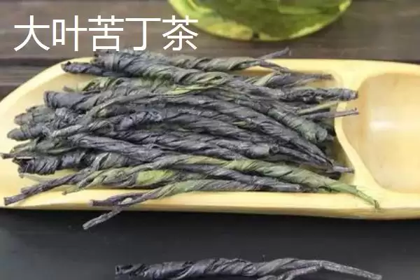 图片[2]-苦丁茶的种类 ,苦丁茶分为哪两种主要类别呢？-会东网