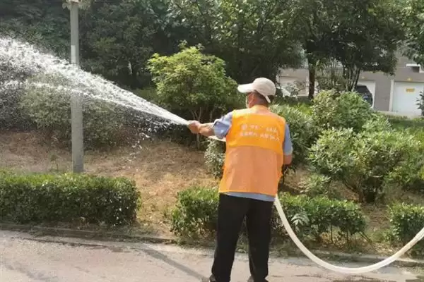 图片[4]-龙血树的浇水方法要点 ,龙血树不同季节怎么浇水呢？-会东网