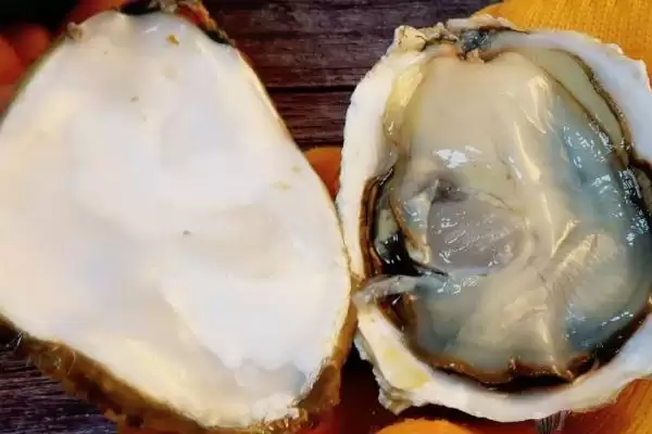 图片[4]-生蚝怎么做才好吃？烹饪生蚝做出美味要掌握哪些烹饪技巧和方法？-会东网