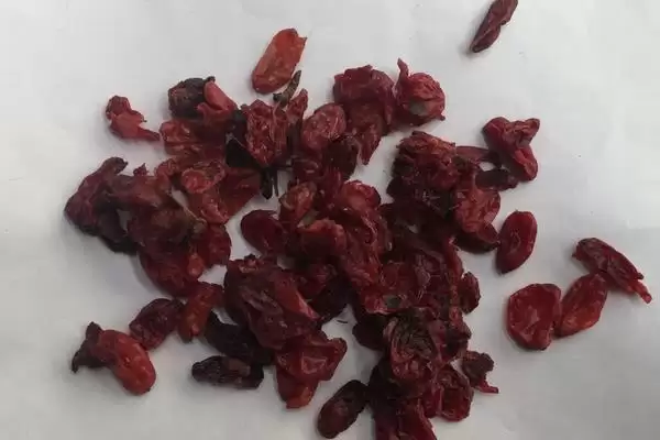 图片[7]-山茱萸种子怎么催芽？催芽山茱萸种子要掌握哪些有效的处理技巧？-会东网
