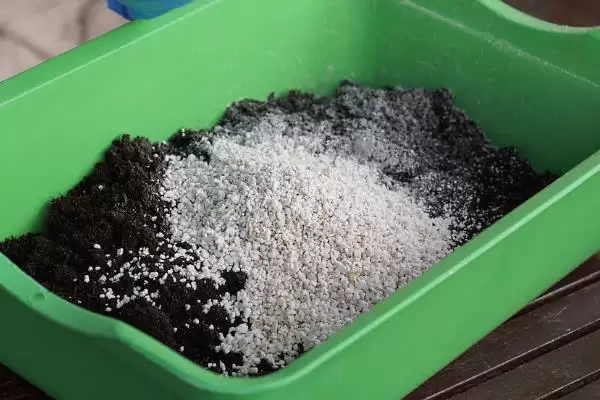 图片[4]-水蜜桃如何种植？种植水蜜桃要掌握哪些从选种到养护的关键步骤？-会东网
