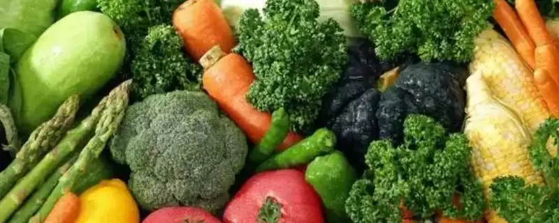 种植大棚蔬菜的成本和利润?种植大棚蔬菜需关注哪些经济要素?插图 种植大棚蔬菜的成本和利润?种植大棚蔬菜需关注哪些经济要素?插图