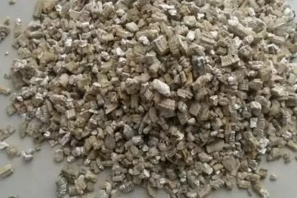图片[2]-认识蛭石的方法和重点？认识蛭石要做好哪些细节？-会东网