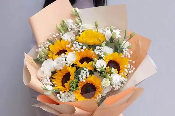 图片[2]-向日葵花寓意的内涵和要点？理解向日葵花寓意需关注哪些关键信息？-会东网